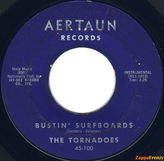 bustin'_surfboards